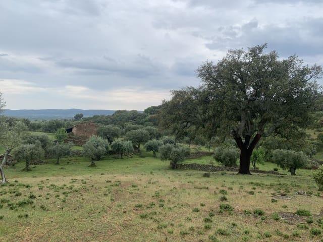Casa Rural en venta en Tierra de Badajoz, Extremadura