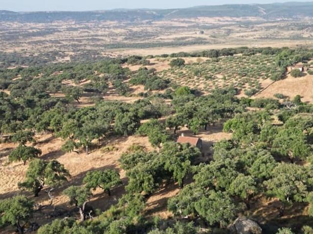 Casa Rural en venta en Tierra de Badajoz, Extremadura