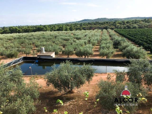 Casa Rural en venta en el Baix Maestrat, Valencia