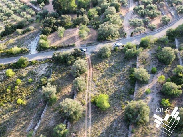 Terreno en venta en el Baix Maestrat, Valencia