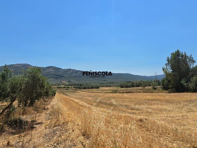Casa Rural en venta en el Baix Maestrat, Valencia