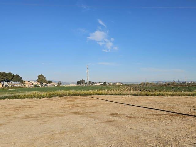 Casa Rural en venta en Santa Ana, Campo de Cartagena y Mar Menor