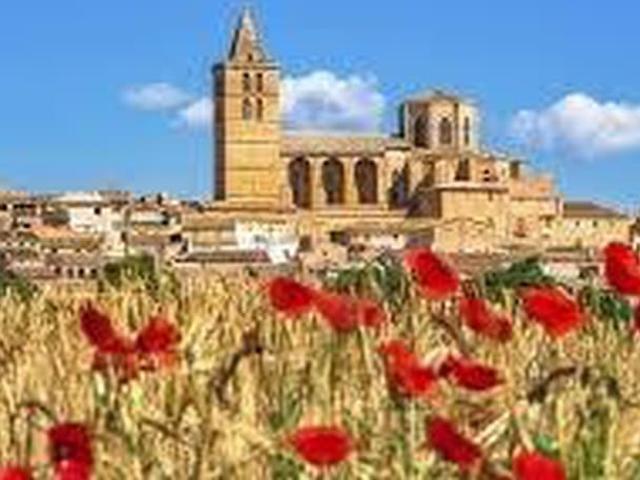 Terreno en venta en Sineu
