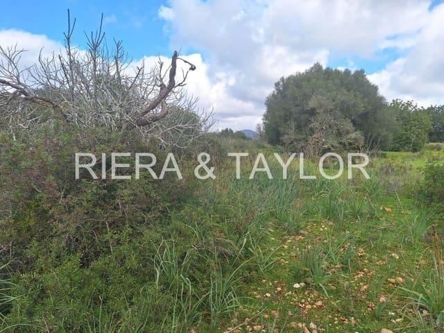 Terreno en venta en Son Carrió, Llevant
