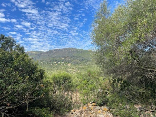 Casa Rural en venta en Tarifa, Barriada de Antonio Ordoñez