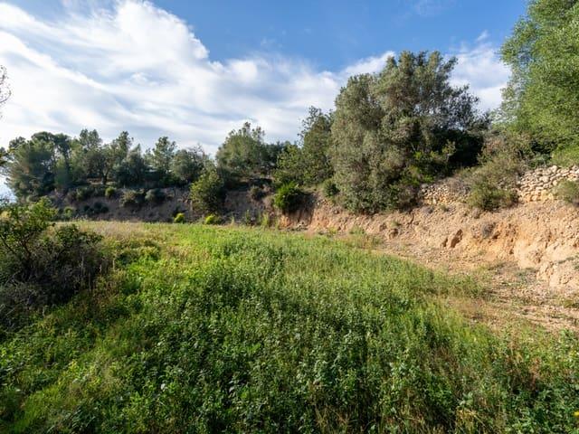 Casa Rural en venta en Baix Ebre, Catalunya