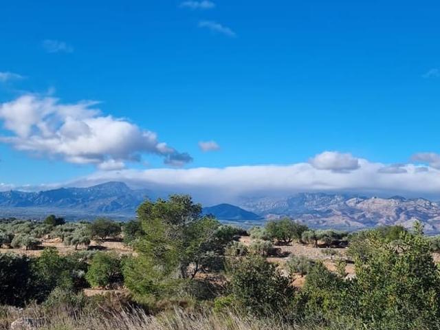 Casa Rural en venta en Baix Ebre, Catalunya
