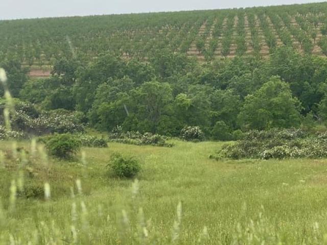 Quinta en venta en Toledo