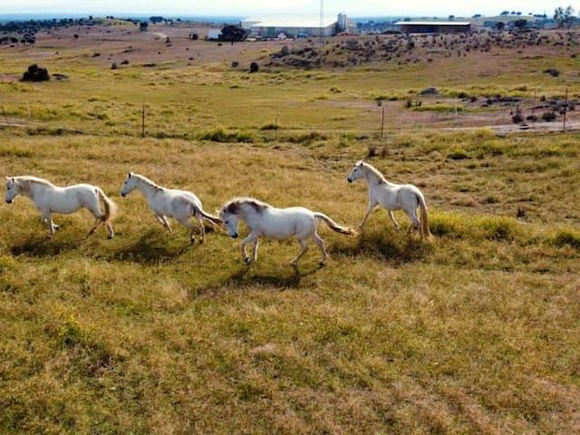 Casa Rural en venta en Toledo, Castilla-La Mancha