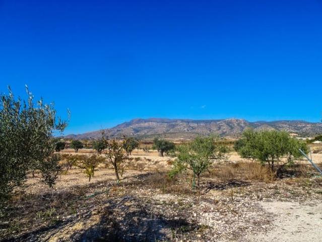 Casa Rural en venta en Torre del Rico, Altiplano