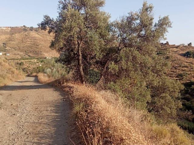 Casa Rural en venta en Torrox Park, La Axarquía