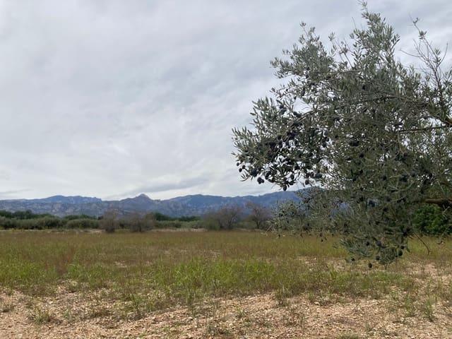 Casa Rural en venta en Baix Ebre, Catalunya