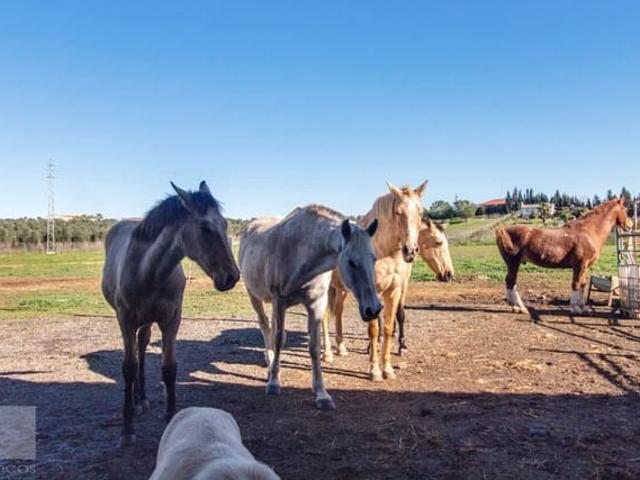 Casa Rural en venta en Trigueros