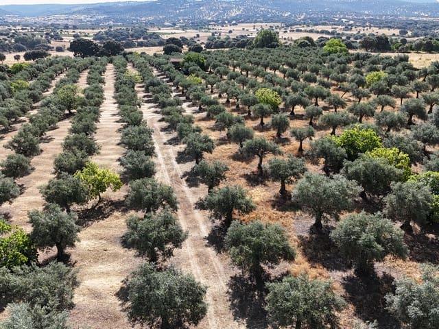 Casa Rural en venta en Trujillo, Extremadura
