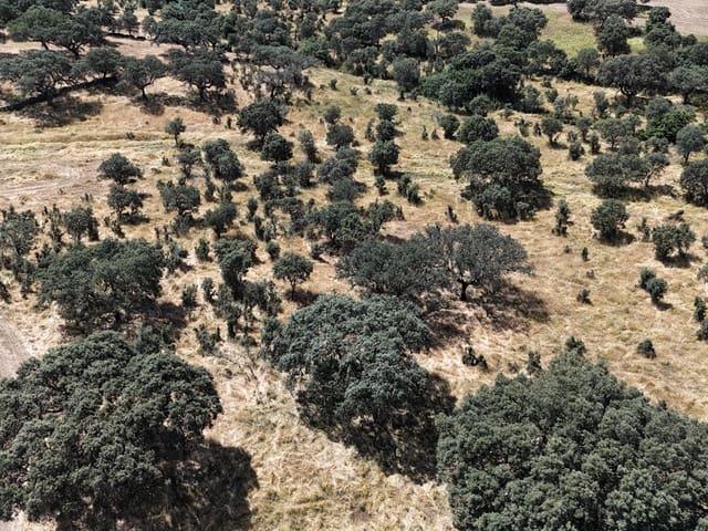 Casa Rural en venta en Trujillo, Extremadura