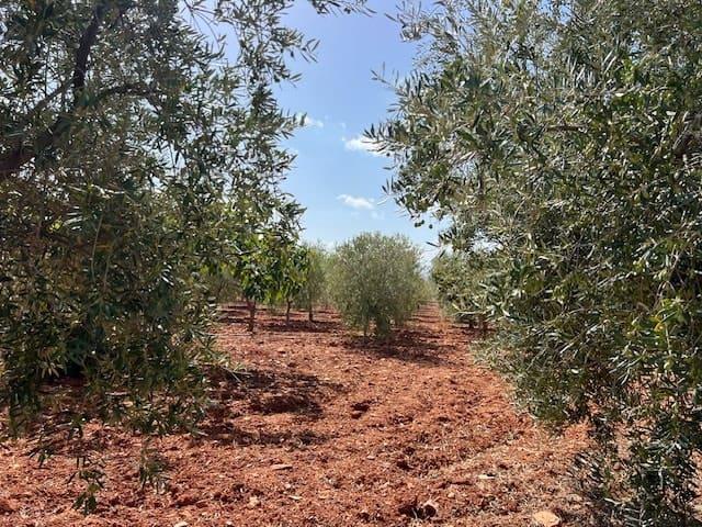 Casa Rural en venta en Uleila Del Campo, Andalucía