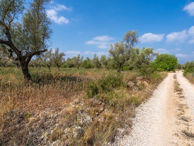 Casa Rural en venta en Ulldecona