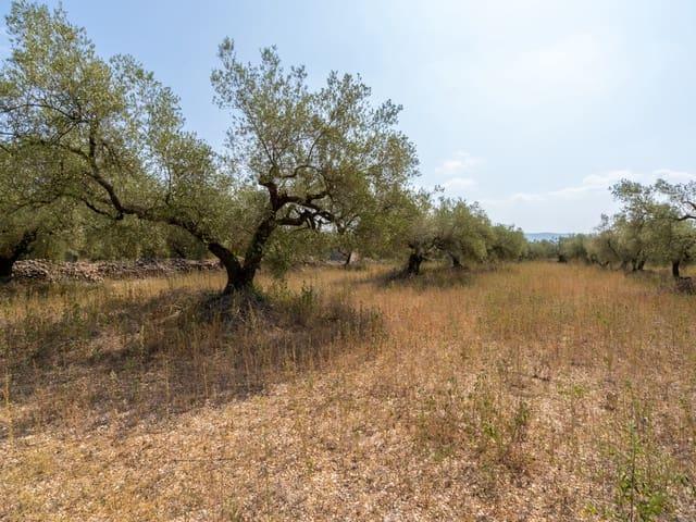 Casa Rural en venta en Ulldecona
