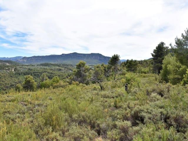 Casa Rural en venta en Matarraña / Matarranya, Valderrobres