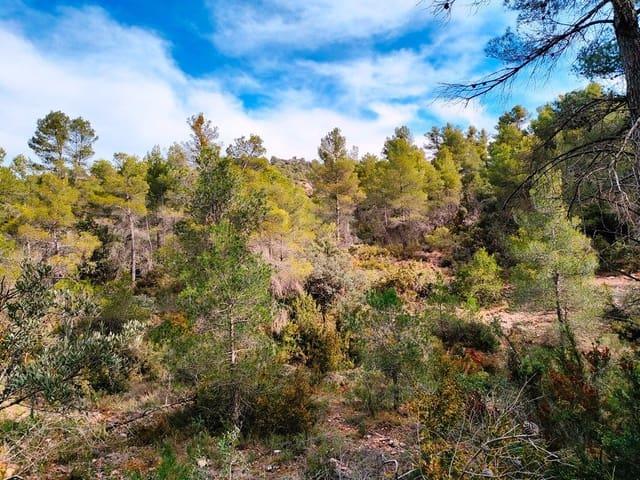 Casa Rural en venta en Matarraña / Matarranya, Valderrobres