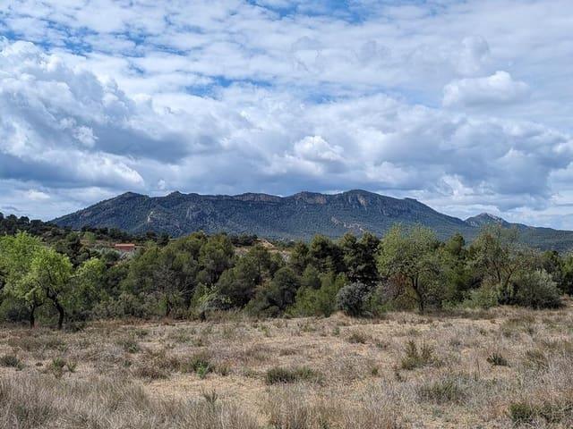 Casa Rural en venta en Matarraña / Matarranya, Valderrobres