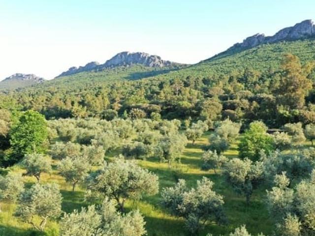 Casa Rural en venta en Valencia De Alcántara, Extremadura