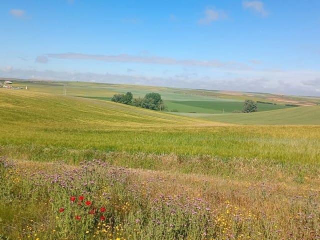 Casa Rural en venta en La Antigua - Santa Cruz, Valladolid