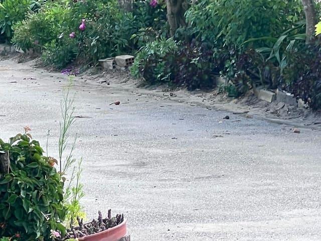 Casa Rural en venta en Urbanización Alcazaba, La Janda