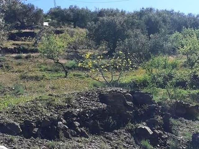 Casa Rural en venta en La Axarquía, Andalucía