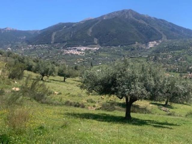Casa Rural en venta en La Axarquía, Andalucía