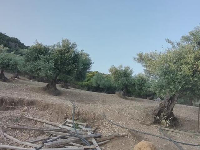 Casa Rural en venta en Sierra de Cádiz, Andalucía