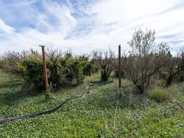 Casa Rural en venta en Vinallop, Baix Ebre