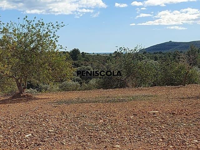 Casa Rural en venta en Vinaròs, Dones de la Mar Casa Rural en venta en Vinaròs, Dones de la Mar