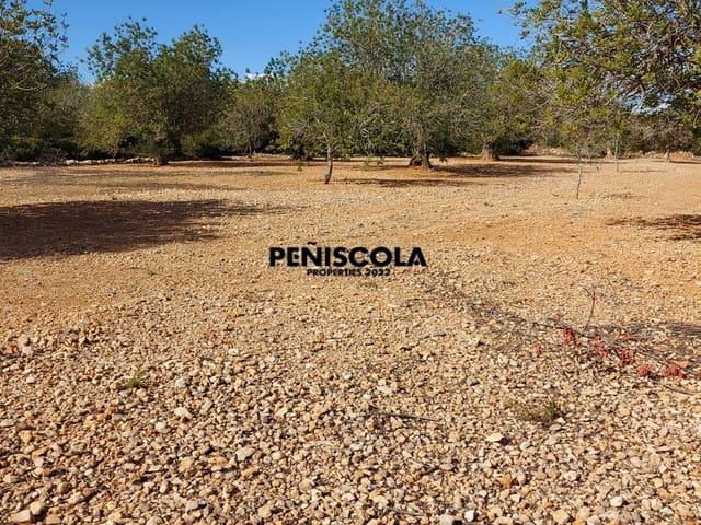 Casa Rural en venta en Dones de la Mar, el Baix Maestrat