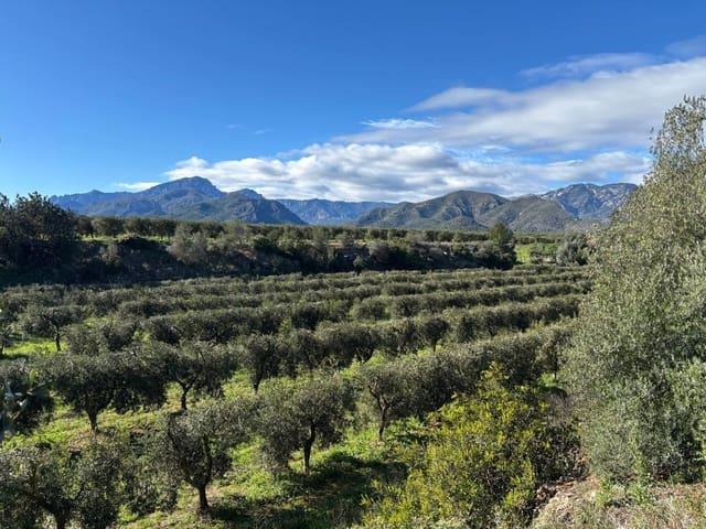 Casa Rural en venta en Baix Ebre, Catalunya