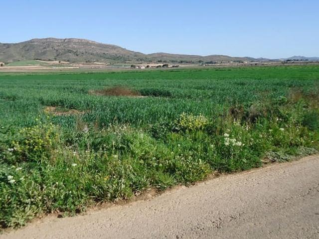 Casa Rural en venta en Altiplano, Murcia