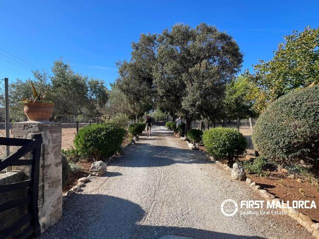Casa en alquiler en Cala Sant Vicenç, Serra de Tramuntana