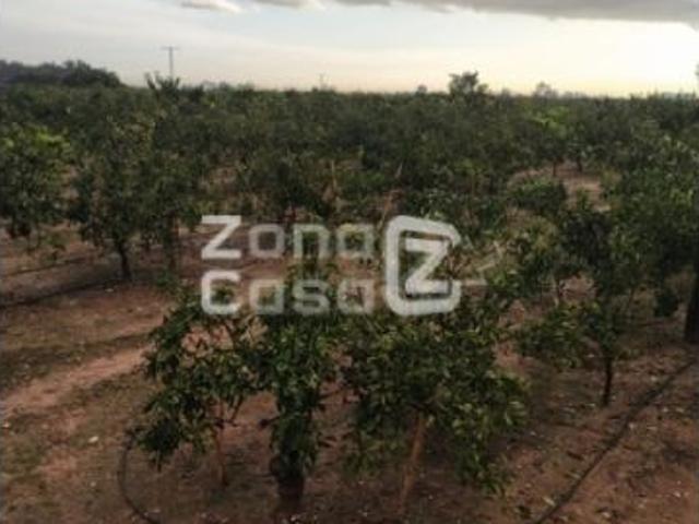 Casa en venta en la Ribera Alta, Valencia