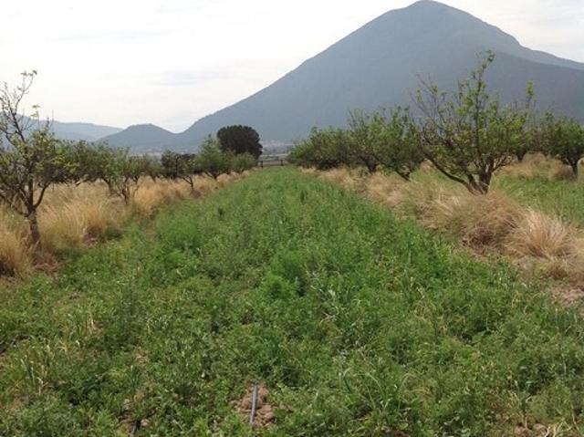 Quinta en venta en Arteaga, Coahuila