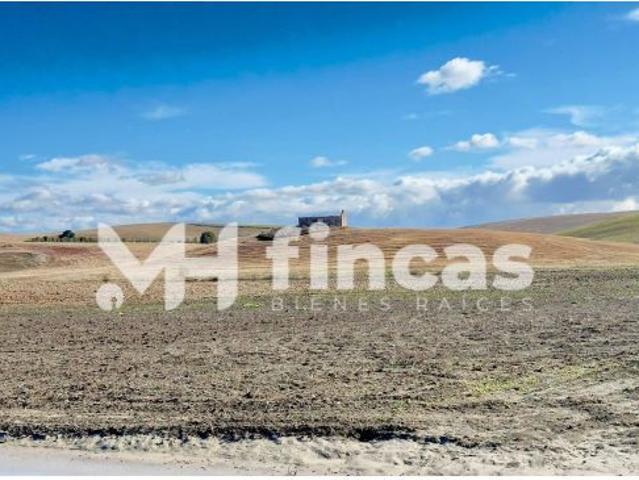 Local Comercial en venta en La Cañada, Utrera