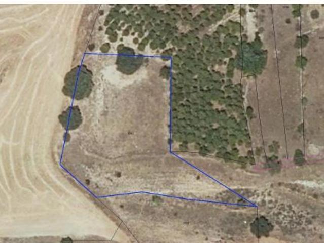 Local Comercial en venta en Alcaraz, Castilla-La Mancha