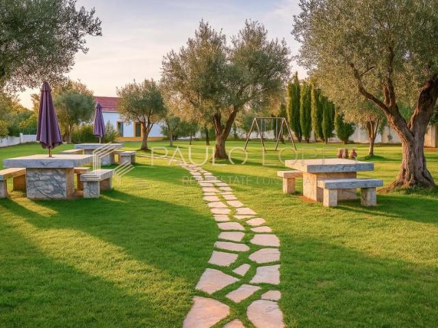 Terreno venda em Estremoz
