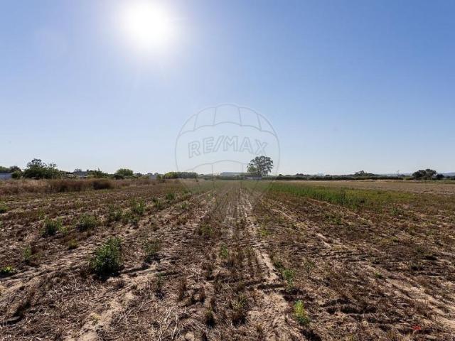 Terreno venda em Moita, Setúbal