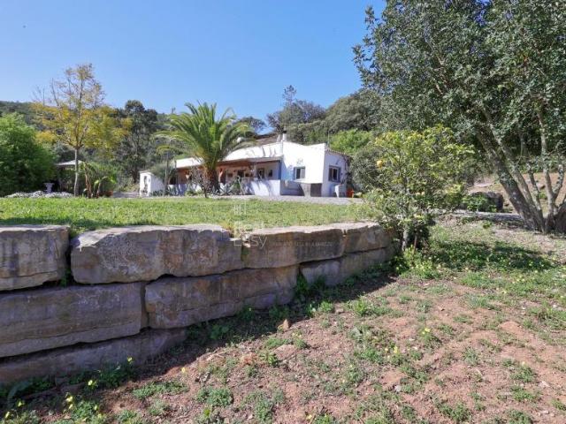 Terreno venda em Tavira