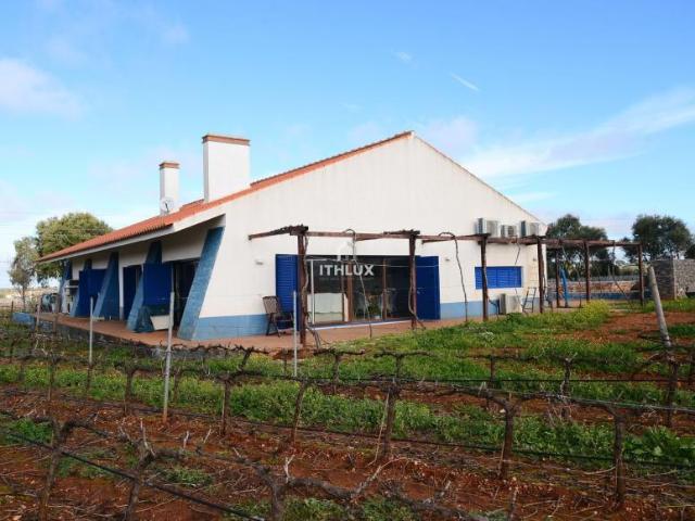 Terreno venda em Estremoz, Évora
