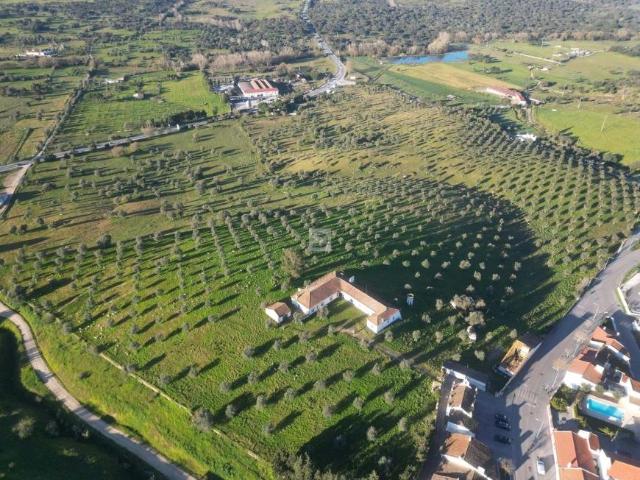 Terreno venda em Arraiolos, Évora