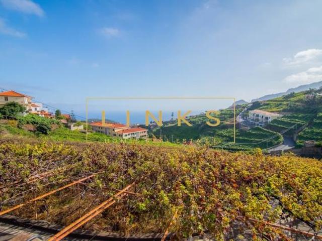 Terreno venda em Câmara De Lobos Terreno venda em Câmara De Lobos