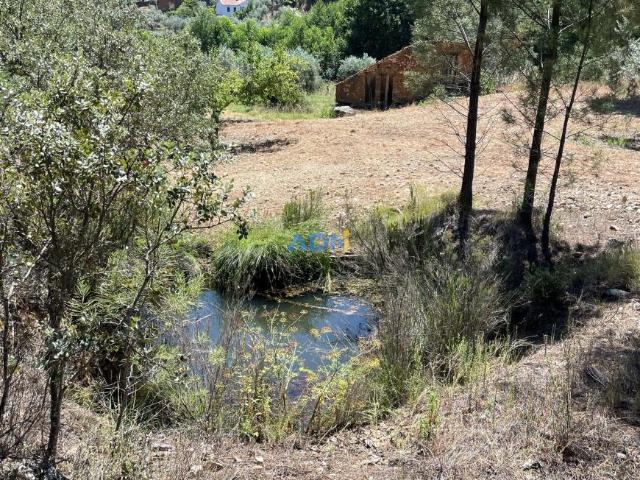 Terreno alugar em Castelo Branco