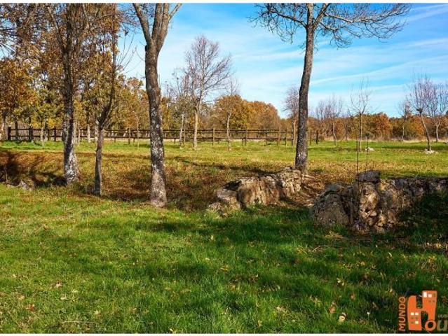 Local Comercial en venta en Sexmo de Posaderas, Sotosalbos