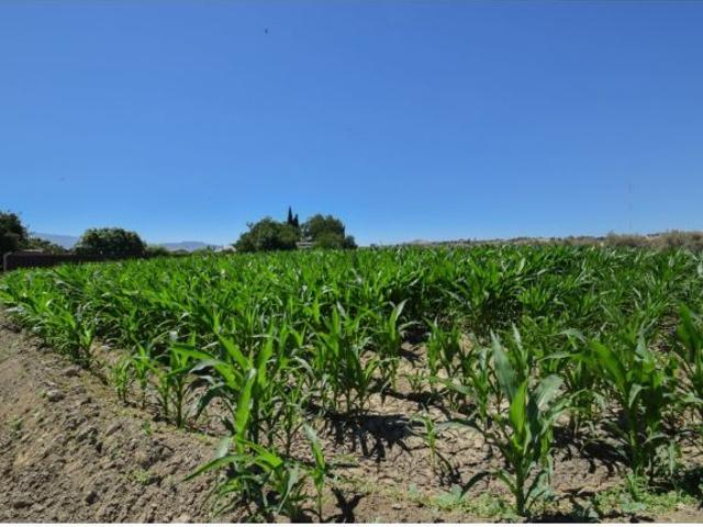 Local Comercial en venta en Híjar, Comarca de la Vega de Granada
